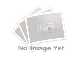 Lãnh đạo Nhà trường